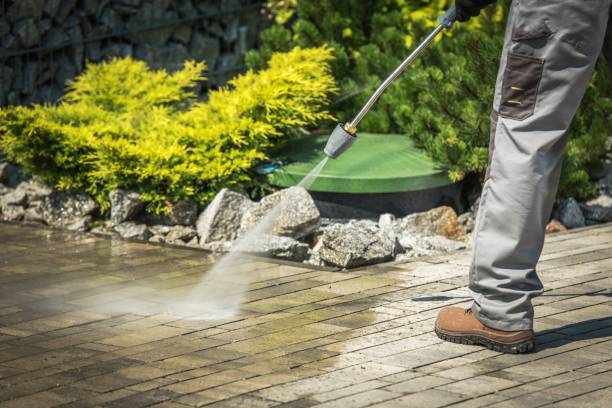 Best House Exterior Washing  in Lopezville, TX