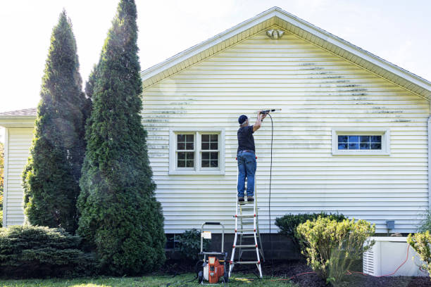 Spring Cleaning in Lopezville, TX